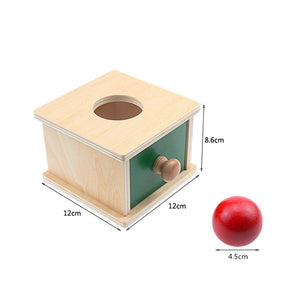 Montessori Materials Match Box Ball Box Coin Box Piggy Bank Set Toys for Toddler Solid Wood Infant Basic Life Skill Toy 8-24 Mon